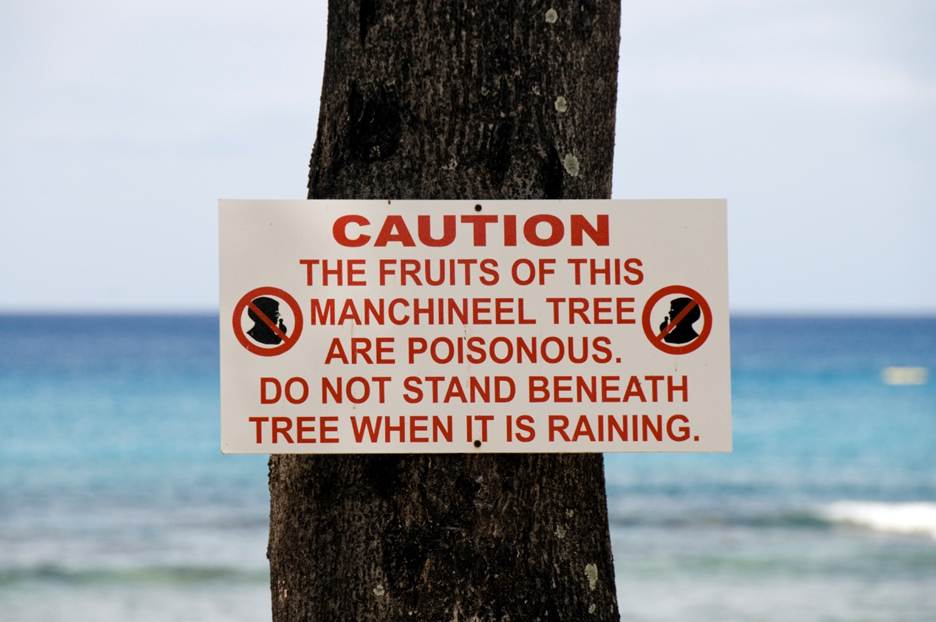A sign on a tree

AI-generated content may be incorrect.