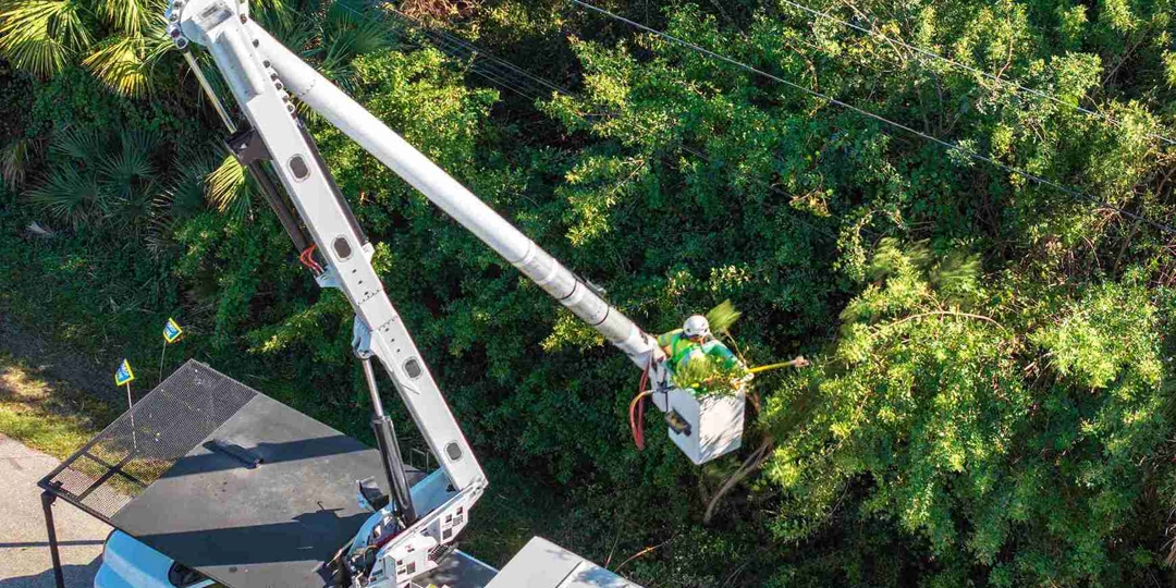 An overhead, high-angle shot of a white bucket truck with an extended hydraulic lift arm. A professional tree service worker wearing a safety vest and helmet is in the bucket, using a pole saw to trim high branches from a dense green canopy.