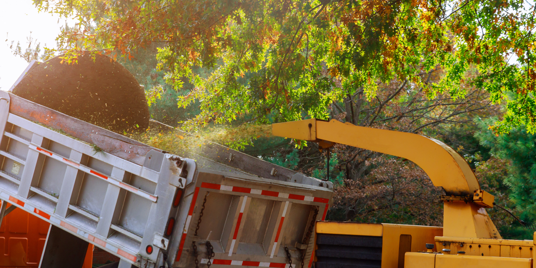 A yellow wood chipper machine blowing freshly shredded wood mulch and leaves into the back of a large dump truck under an autumn tree canopy.