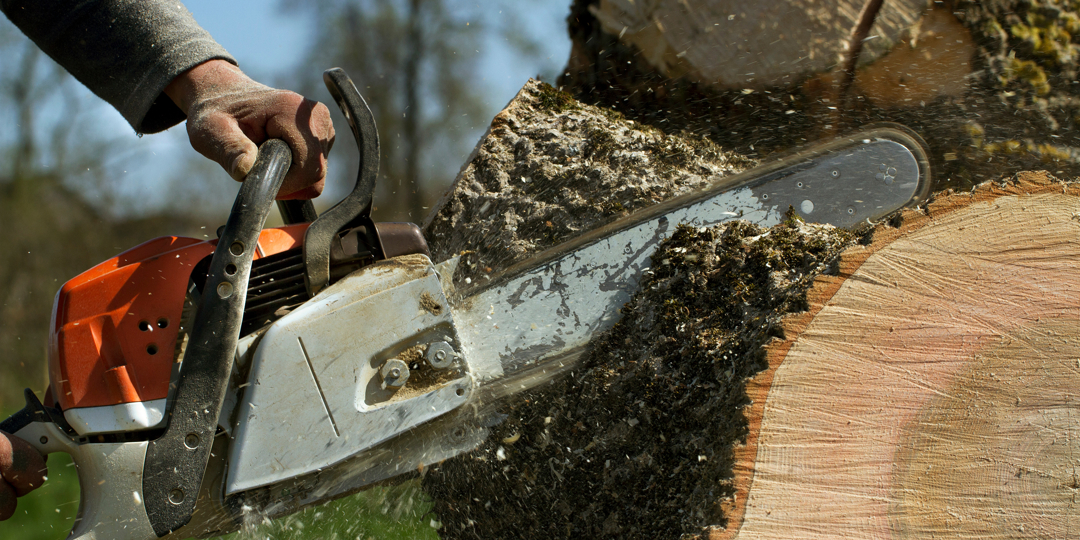Close-up of a person using an orange and white chainsaw to cut through a thick tree log, with wood chips and sawdust flying through the air.