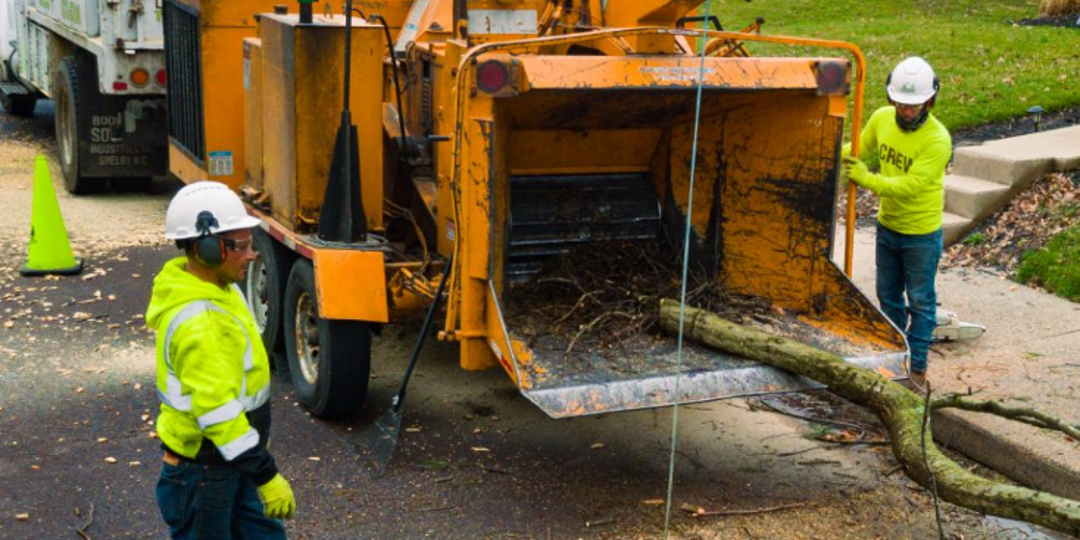 man with tree truck