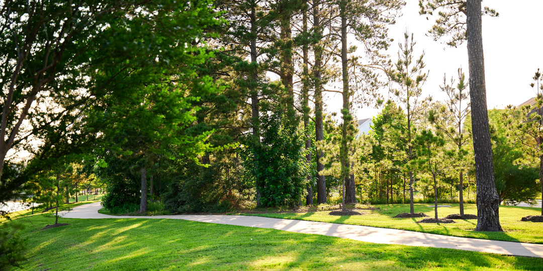 A winding concrete walking path curves through a lush green park in a Texas Gulf Coast residential area. Mature pine and deciduous trees line the path, casting long shadows across the manicured grass. Bright, warm sunlight filters through the dense foliage