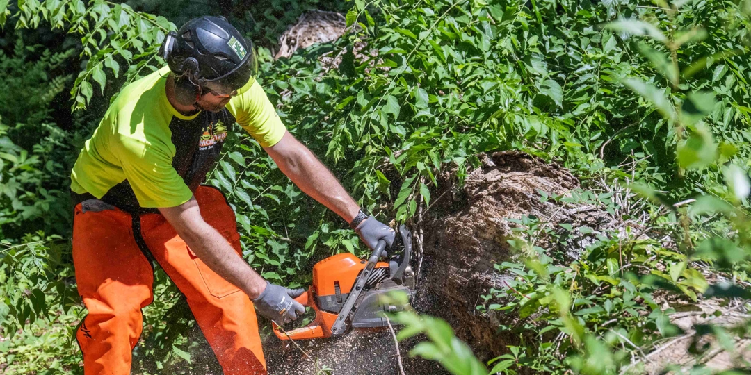 Monster Tree Service franchise owner providing tree removal services