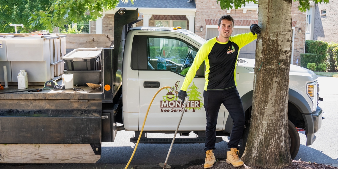 monster tree franchise