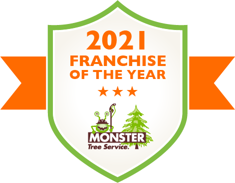 Franchise of the year award badge 