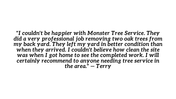 Review: “I couldn't be happier with Monster Tree Service. They did a very professional job removing two oak trees from my back yard. They left my yard in better condition than when they arrived. I couldn't believe how clean the site was when I got home to see the completed work. I will certainly recommend to anyone needing tree service in the area.” - Terry