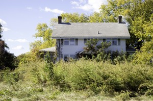 Blue Bell, PA Tree Care Services