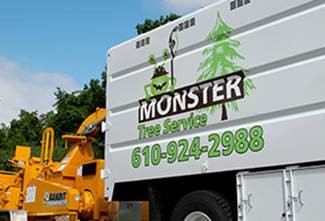 Edina, MN Tree Removal Service