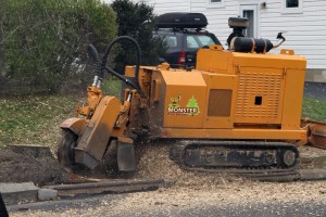 Tree trimming machine