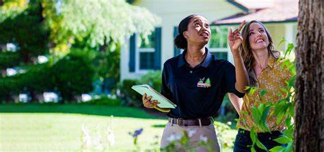 Soil Healthcare: A Homeowner's Guide to Nurturing Your Property's Foundation